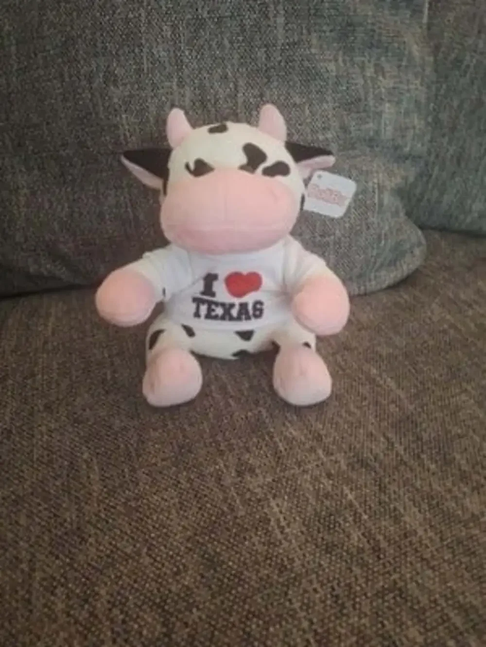 DoliBu Texas Souvenir Cow Plush with T-Shirt